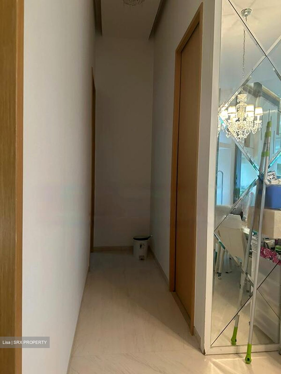Belle Vue Residences (D9), Condominium #459554771